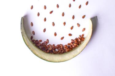 Выбросили 'клад': можно ли закапывать арбузные корки в землю