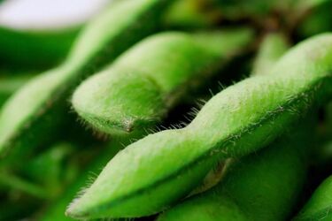 Чудернацькі боби едамаме: чим корисні та як приготувати (відео)