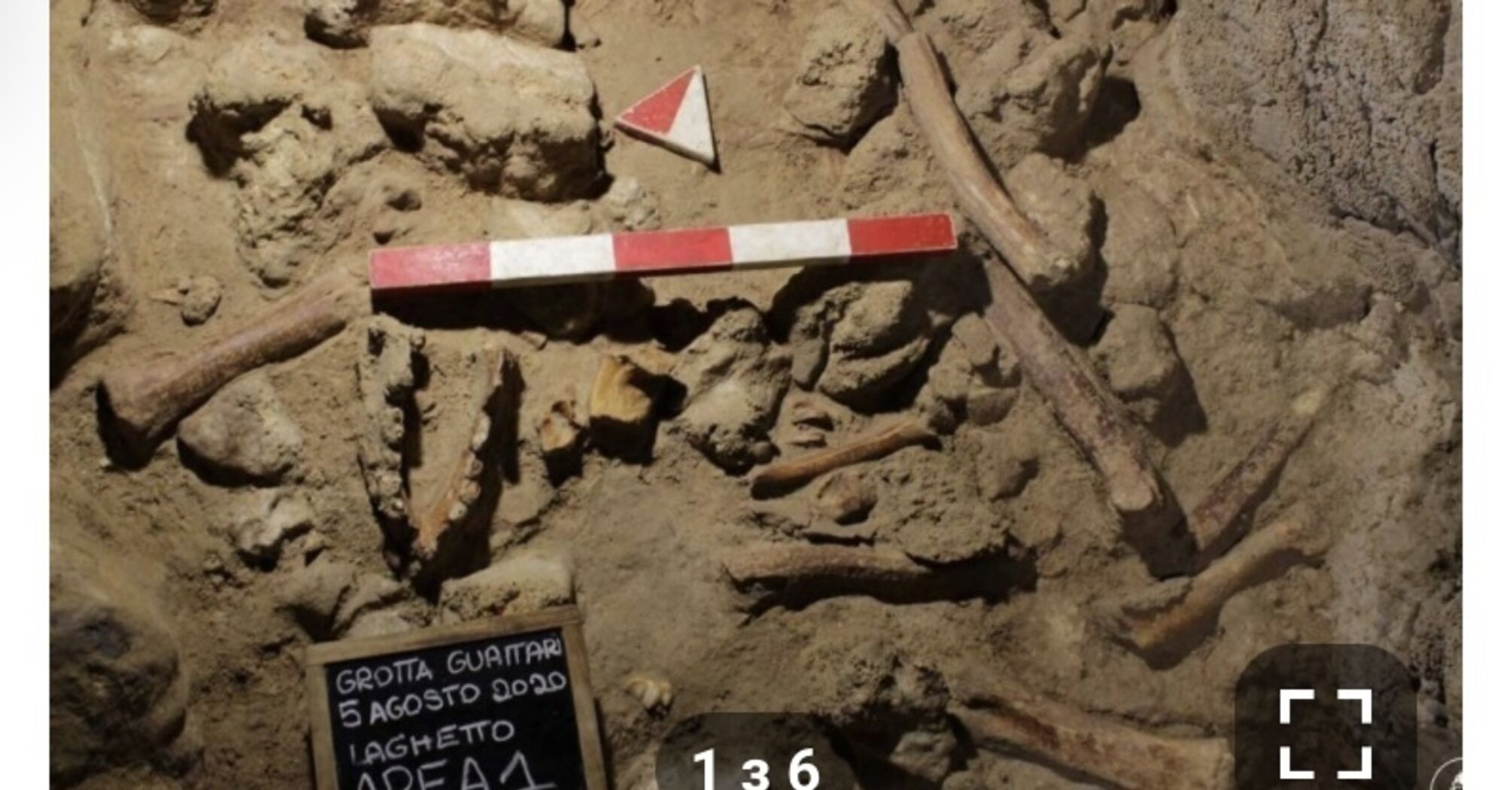 В Италии обнаружили останки 9 неандертальцев, живших 100 тысяч лет назад