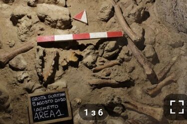 В Італії виявили останки 9 неандертальців, які жили 100 тисяч років тому 