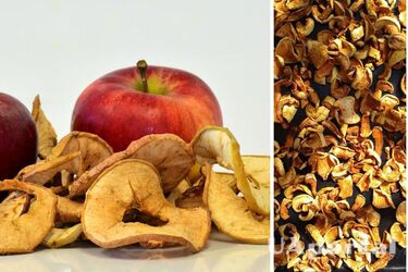 Як зробити сушіння з яблук в домашніх умовах