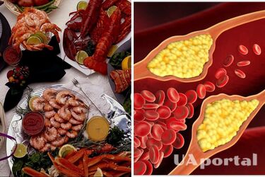 Вчені розповіли чим небезпечний холестерин, і як знизити його рівень