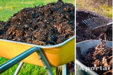 Как ускорить созревание компоста на удобрения