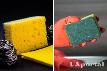 Зачем отрезать куски от губки для мытья посуды