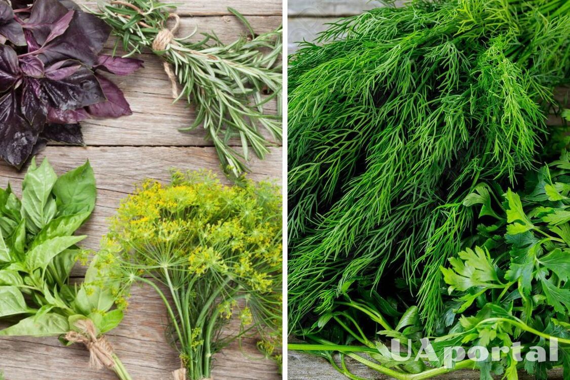 How to refresh wilted dill in a matter of minutes