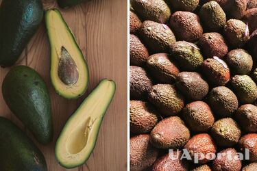 Как хранить авокадо, что оно не чернело – как правильно хранить авокадо