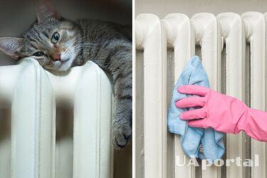 Baterie żeliwne - jak myć baterie żeliwne?