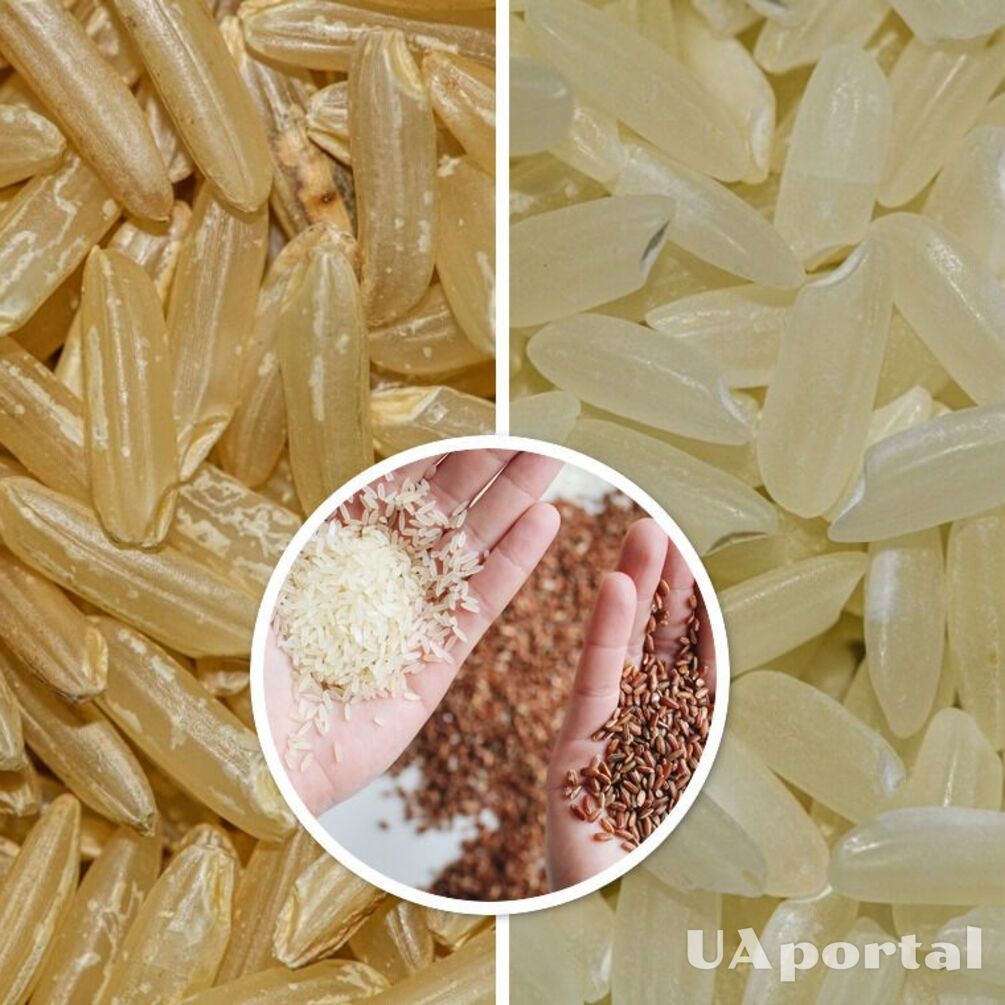 Нужно ли мыть рис перед варкой: ответ ученых