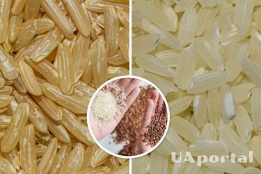 Нужно ли мыть рис перед варкой: ответ ученых