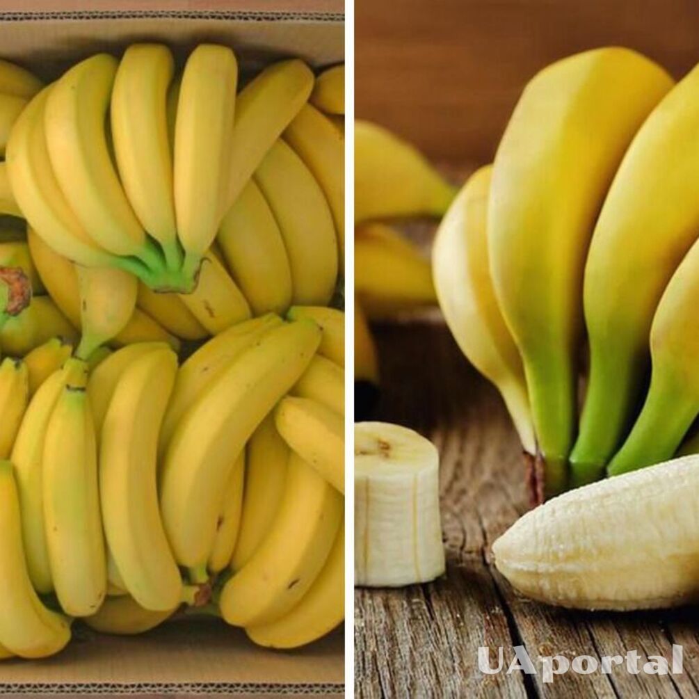Что делать, чтобы бананы дольше не портились: лайфхак