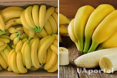 What to do so that bananas do not spoil longer: a life hack