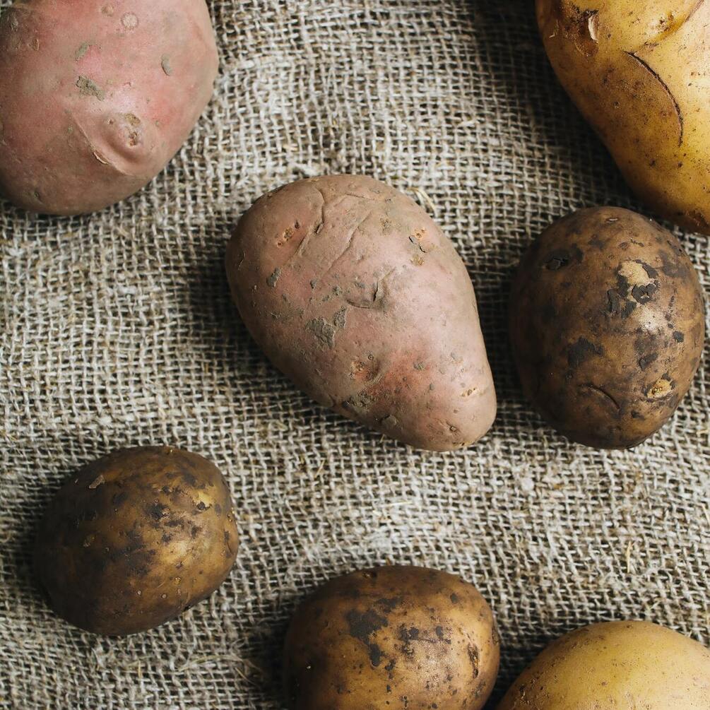 Как правильно хранить картофель в домашних условиях, чтобы предотвратить его гниение