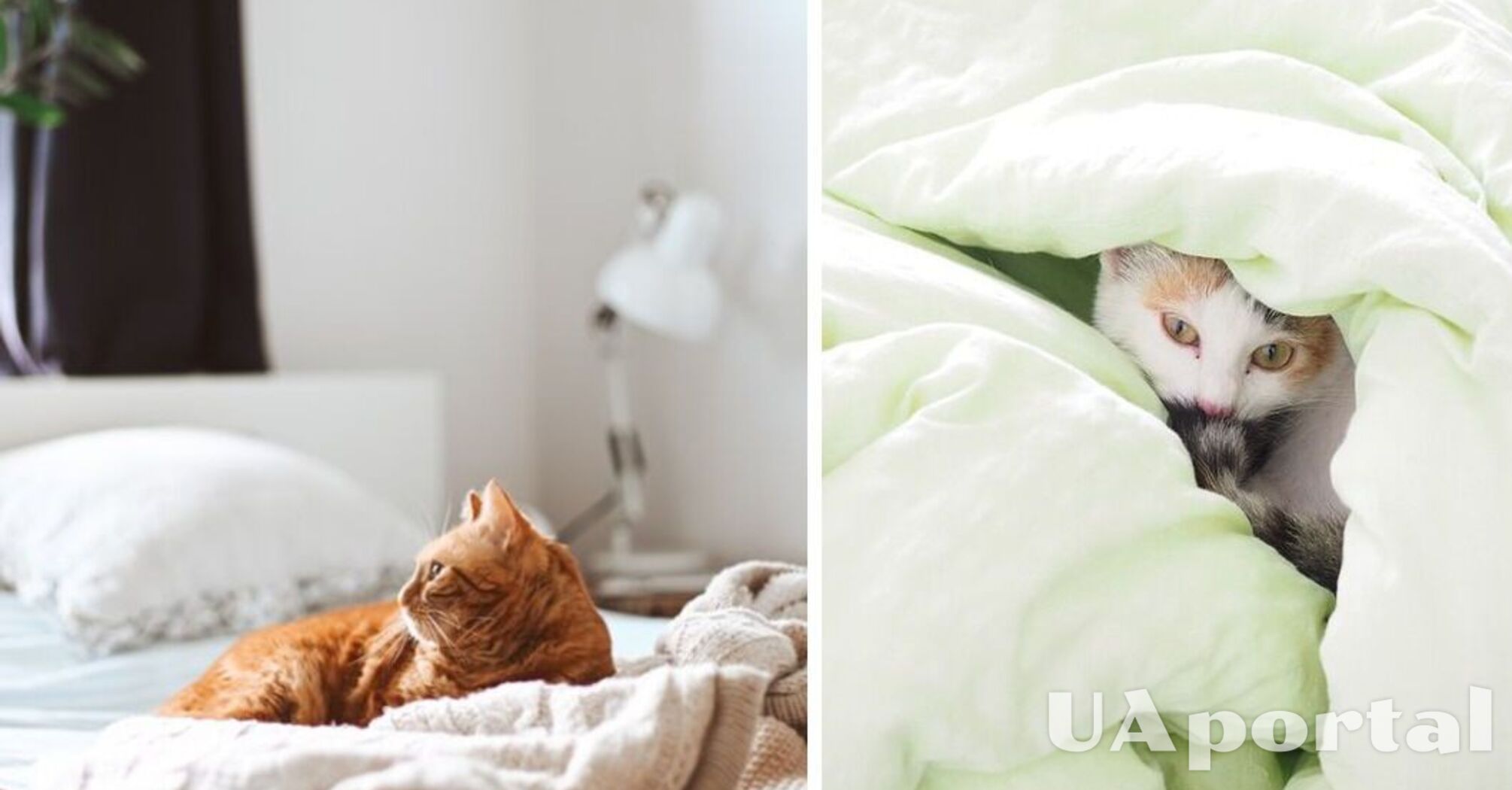 Эксперт по сну посоветовал, когда менять летнее одеяло на зимнее и почему это важно
