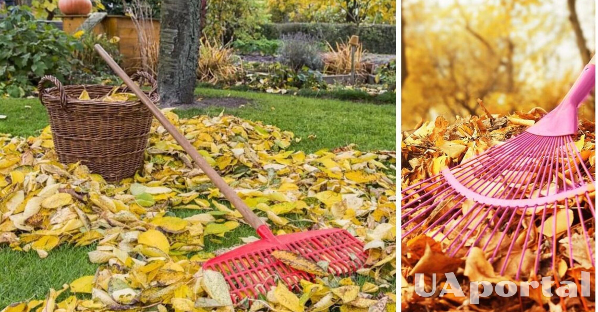 Як досвідчені садівники радять використовувати опале листя з користю для ділянки: прості поради