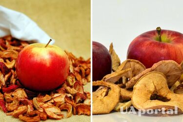 Useful snack: housewives were advised how to dry apples at home