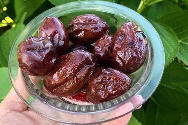 Как замариновать сливы на зиму