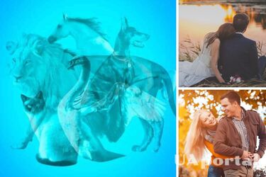 Какое животное вы увидели на картинке первым? Это расскажет, как вы проявляете себя в отношениях