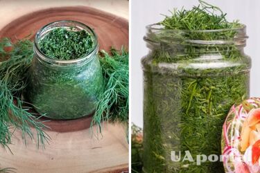 Як засолити кріп на зиму