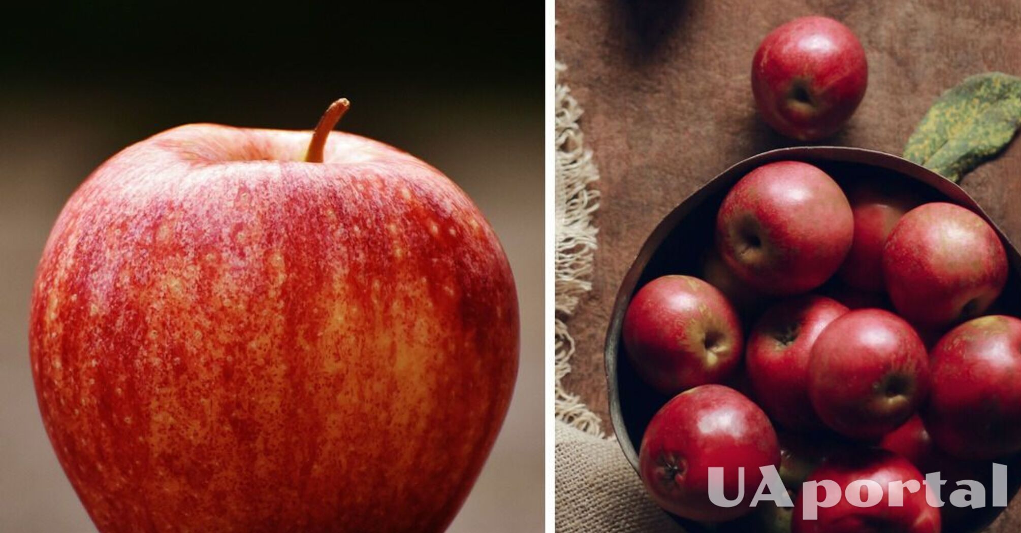 Как правильно хранить яблоки, чтобы они пережили зиму