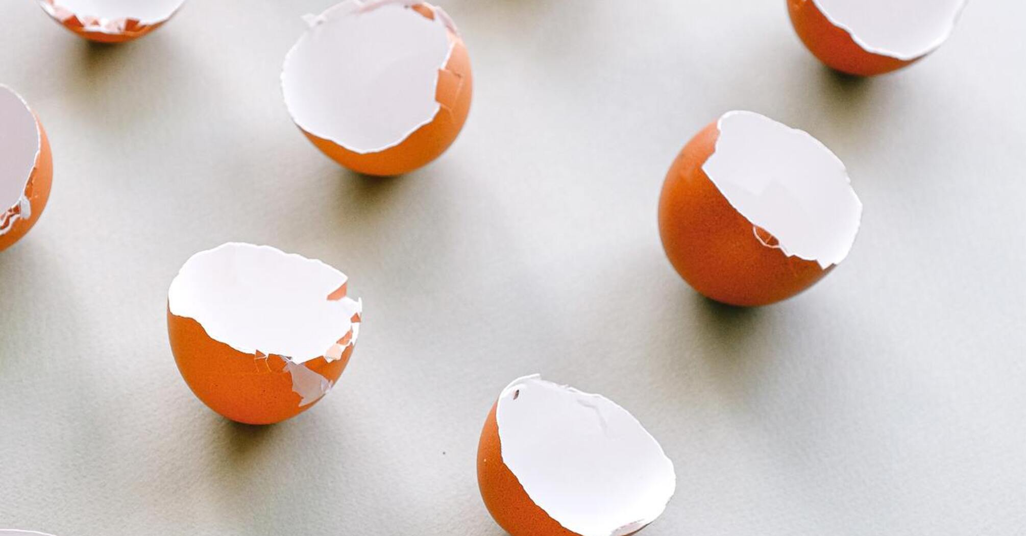Як використовувати яєчну шкаралупу на городі: спосіб виготовлення природного добрива