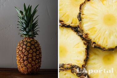 Как вырастить ананас в домашних условиях
