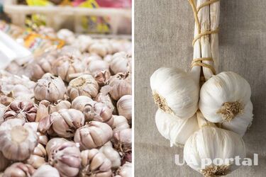 Як зберігати часник, щоб він довго не псувався