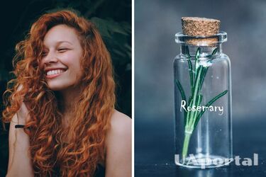 How rosemary water will help grow hair - rosemary hair mask