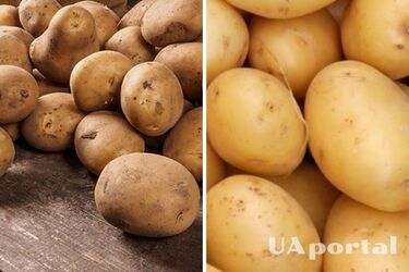 What not to do when storing potatoes