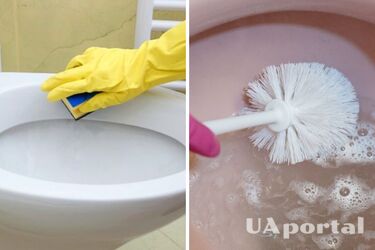 Налет на унитазе: как от него избавиться с помощью народных методов
