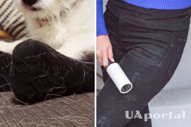 How to get hair and fur out of clothes during washing: tips