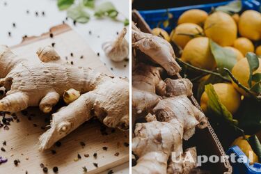 Jak prawidłowo przechowywać imbir - jak przechowywać imbir, aby się nie zepsuł