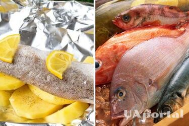 Doctors answered which fish is healthier: pollock or hake
