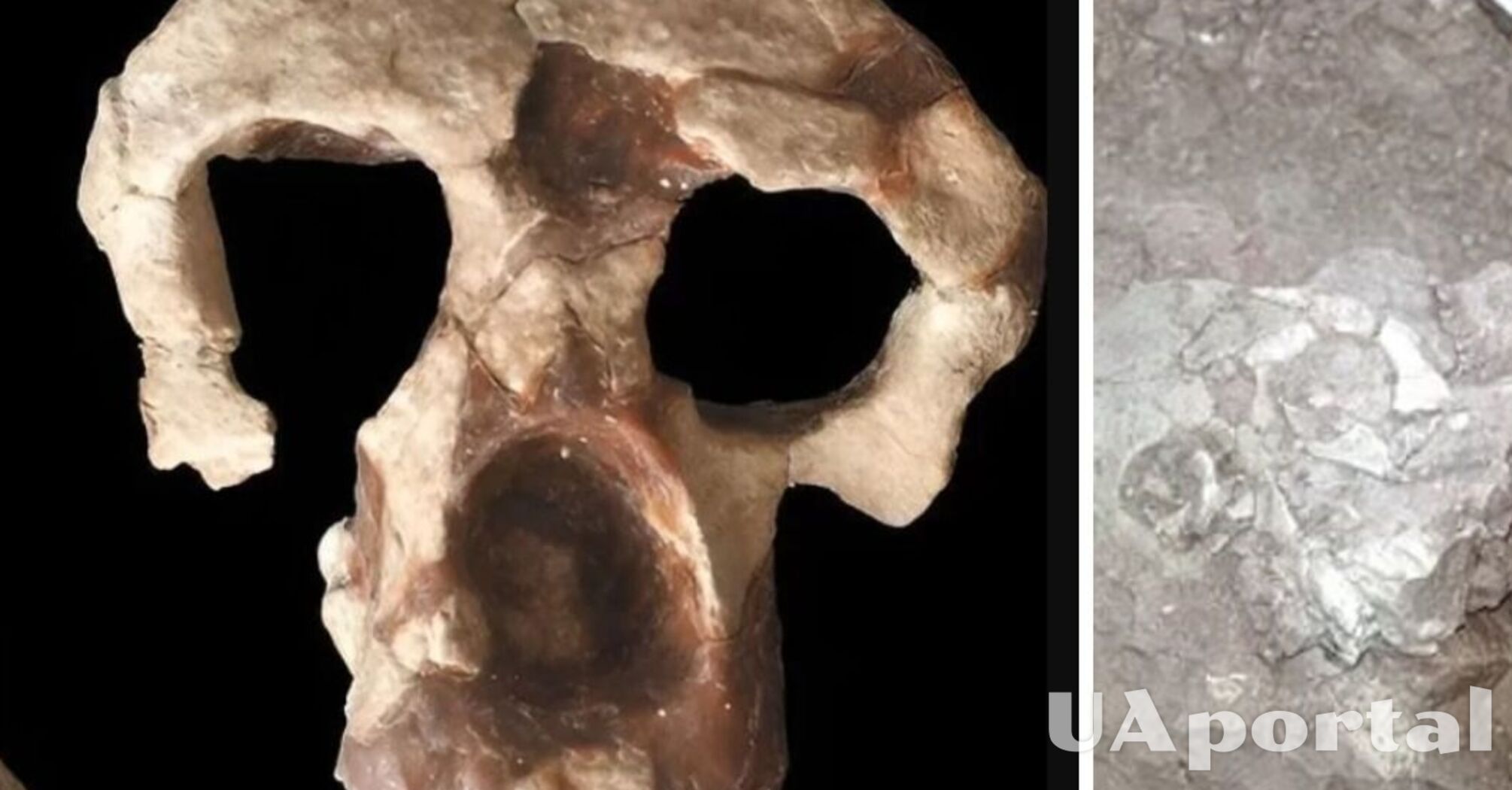 Учені знайшли таємничий череп, що нівелює теорію розвитку предків людини
