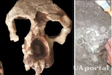 Учені знайшли таємничий череп, що нівелює теорію розвитку предків людини