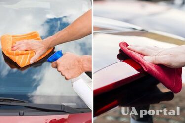 Як видалити сліди від комах на лобовому склі: бюджетні методи