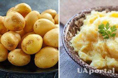 Будет лучше сливок: что добавить в пюре для вкуса