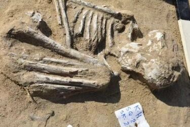 В Египте обнаружили древнюю 'многоэтажку' греко-римской эпохи