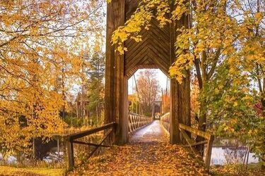 Осенний листопад в Одессе. Где искать самые колоритные фоны и 'желто-красный интерьер' для уютных прогулок