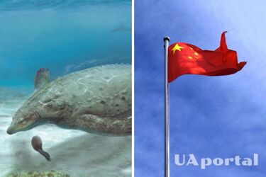 В Китае обнаружили останки рептилии, существовавшей 250 млн лет назад (фото)