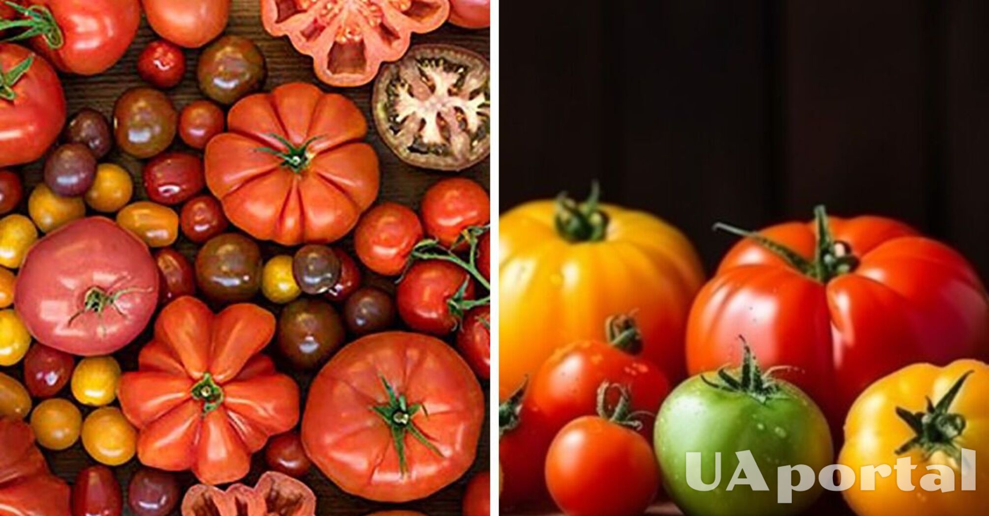 How to choose good tomatoes without chemicals