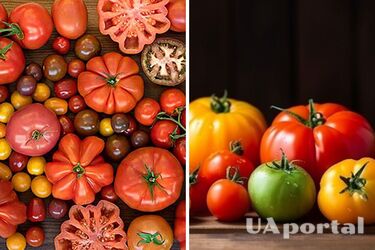 Як вибрати хороші помідори без хімії
