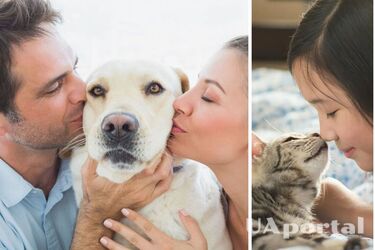 Почему нельзя целовать домашних животных