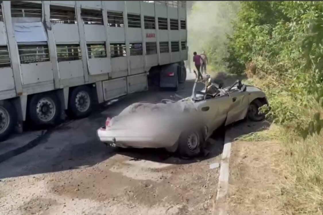 Фура со свиньями раздавила ВАЗ на Белоцерковщине (фото и видео)