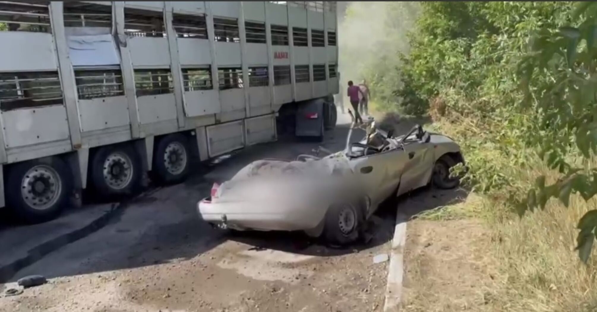 Фура со свиньями раздавила ВАЗ на Белоцерковщине (фото и видео)