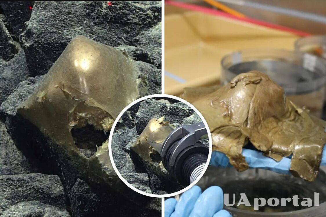 Strange 'eerie golden egg' found on the seabed off Alaska (photo)