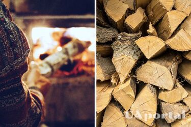 Как получить субсидию на дрова и уголь