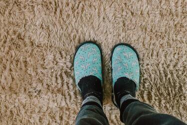 Чи варто використовувати килими