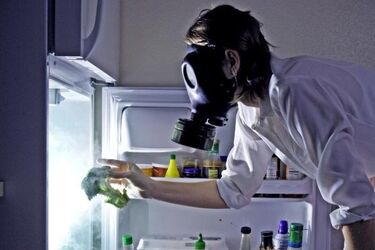 How to get rid of a bad smell from the fridge