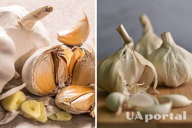 The housewives explained how to store garlic so that it does not sprout