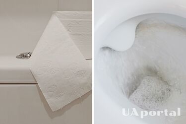 Just pour this product into the tank: how to solve the problem of limescale on the toilet